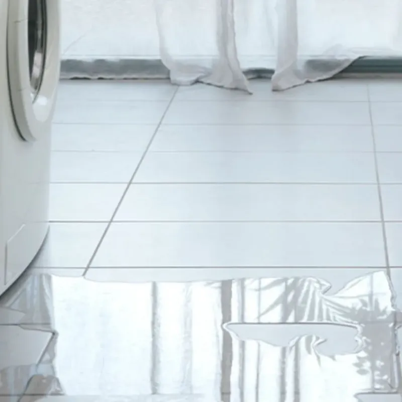 Appliance Leak Cleanup in Louisiana, MO