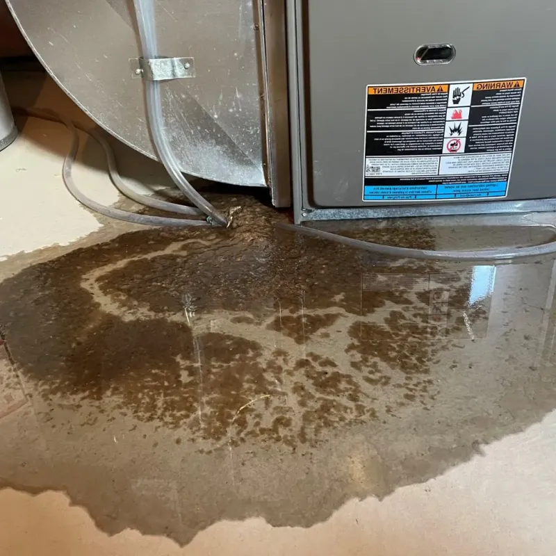 Pipe Burst and Leak Restoration in Louisiana, MO