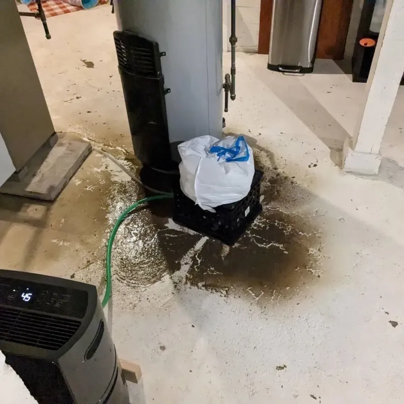 Sewage Backup Cleanup Service in Louisiana, MO